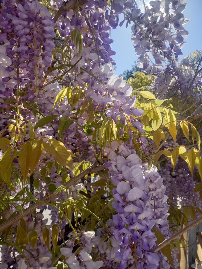 Lilac House Corfu  Bagian luar foto